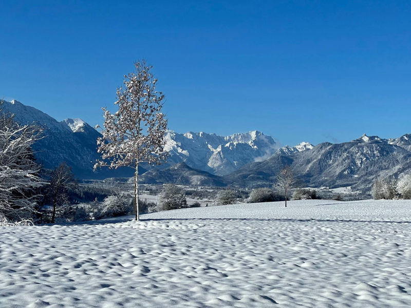 Blick auf die Zugspitze